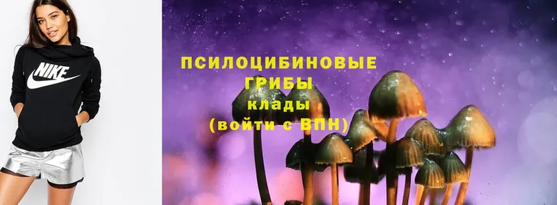 дарнет шоп  Бавлы  Галлюциногенные грибы Magic Shrooms 